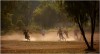 Soccer in the Dust 